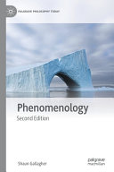 Phenomenology