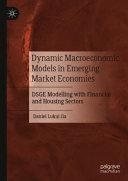 Dynamic Macroeconomic Models in Emerging Market Economies