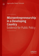 Microentrepreneurship in a Developing Country